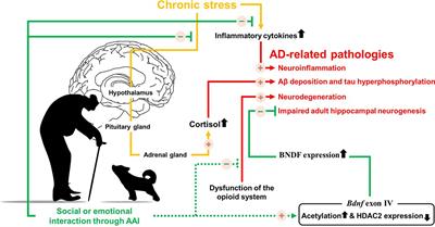 Neurological Mechanisms of Animal-Assisted Intervention in Alzheimer’s Disease: A Hypothetical Review